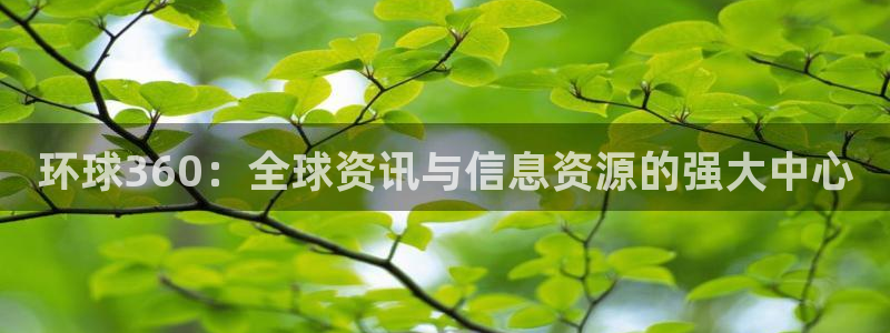 威九国际平台开户链接