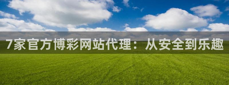上海威九国际汽车电子有限公司