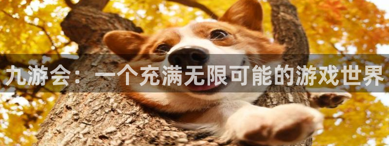 威九国际平台在线开户：九游会：一个充满无限可能的游戏世界