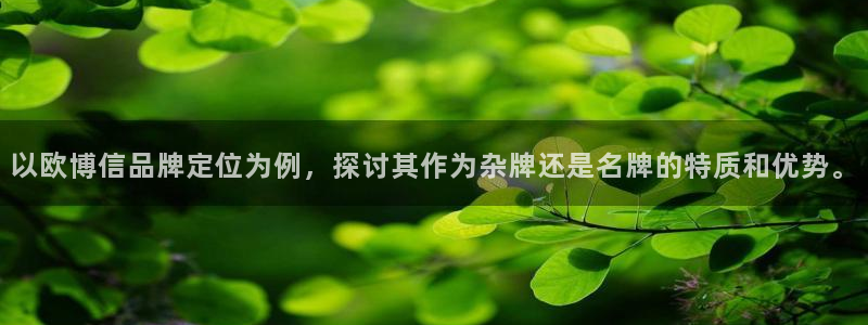 威九国际5招商：以欧博信品牌定位为例，探讨其作为杂牌还是名牌的特质和优势。