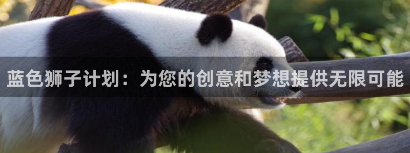 威九国际平台在线注册：蓝色狮子计划：为您的创意和梦想提供无限可能