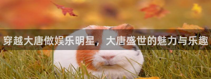 威九国际2登录入口：穿越大唐做娱乐明星，大唐盛世的魅力与乐趣