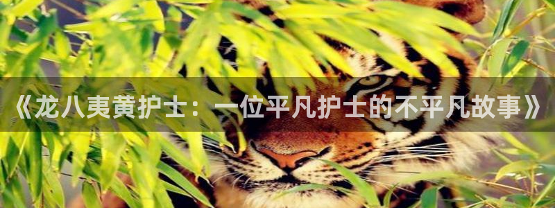 威九国际3登陆：《龙八夷黄护士：一位平凡护士的不平凡故事》