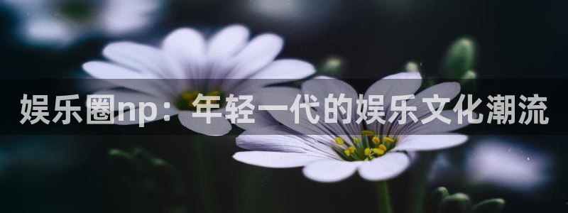 威九国际4平台注册：娱乐圈np：年轻一代的娱乐文化潮流