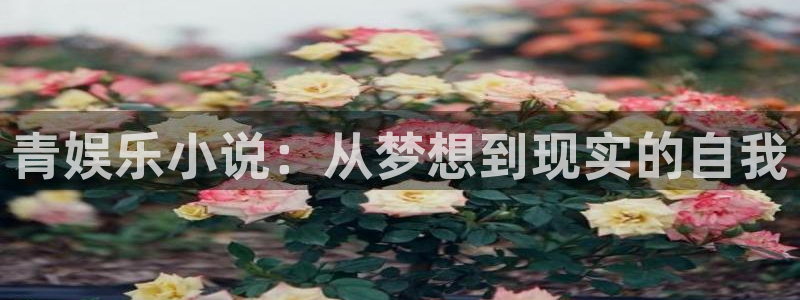 威九国际体育凯捷平台代理：青娱乐小说：从梦想到现实的自我