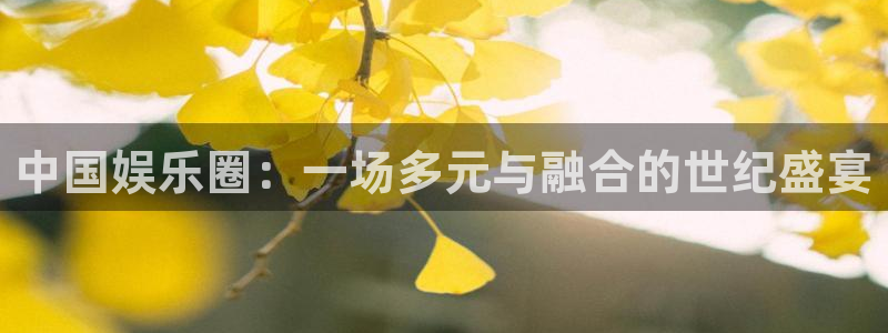 威九国际体育2官网入口：中国娱乐圈：一场多元与融合的世纪盛宴