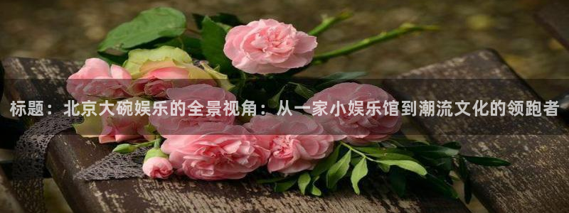 威九国际登陆：标题：北京大碗娱乐的全景视角：从一家小娱乐馆到潮流文化的领跑者