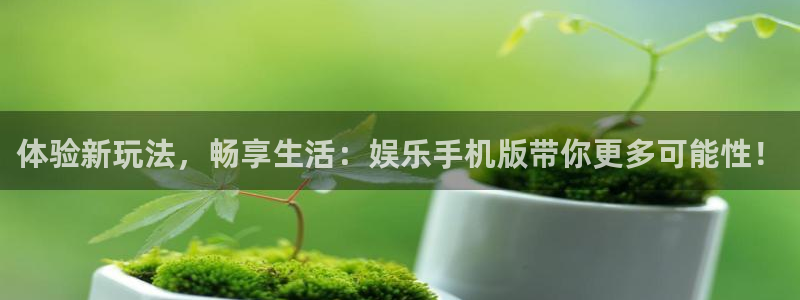 威九国际体育注册登录入口：体验新玩法，畅享生活：娱乐手机版带你更多可能性！