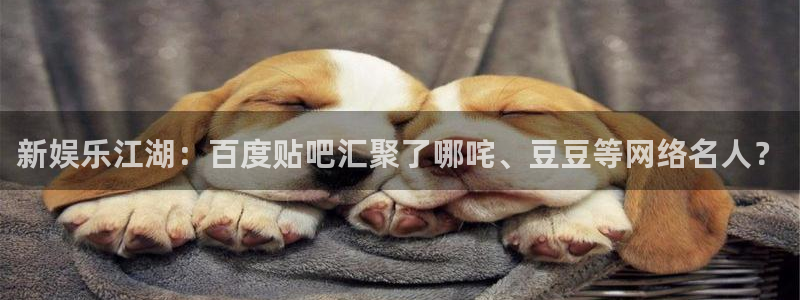 威九国际3官网：新娱乐江湖：百度贴吧汇聚了哪咤、豆豆等网络名人？
