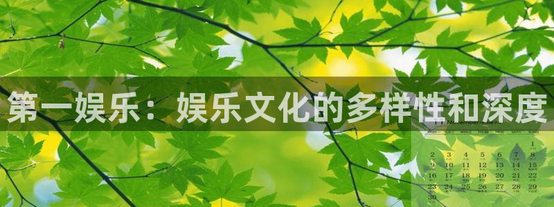 威九国际4代理：第一娱乐：娱乐文化的多样性和深度