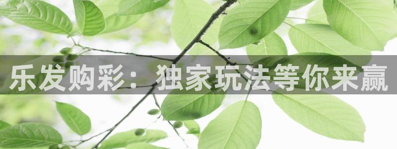 威九国际体育凯捷平台主管：乐发购彩：独家玩法等你来赢