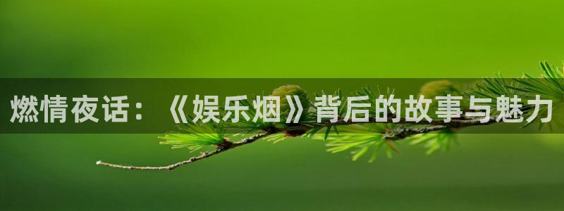 威九国际体育2官网入口：燃情夜话：《娱乐烟》背后的故事与魅力