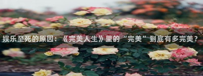 东莞市威九国际电子科技有限公司：娱乐至死的原因：《完美人生》里的“完美”到底有多完美？
