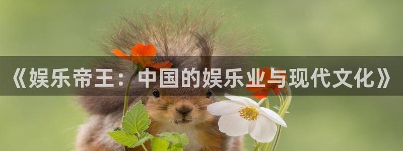 威九国际体育游戏：《娱乐帝王：中国的娱乐业与现代文化》