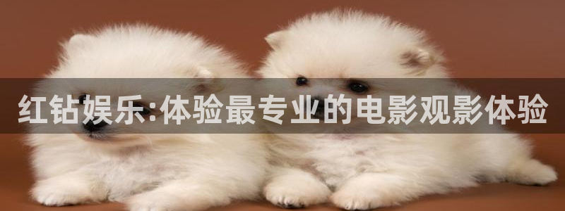 威九国际官网注册：红钻娱乐:体验最专业的电影观影体验