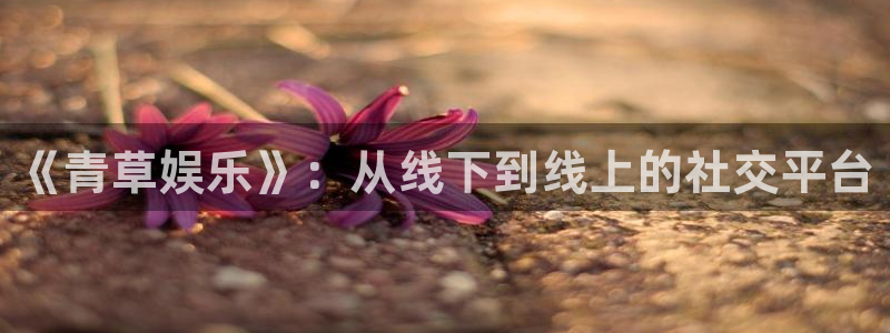 威九国际4官网：《青草娱乐》：从线下到线上的社交平台