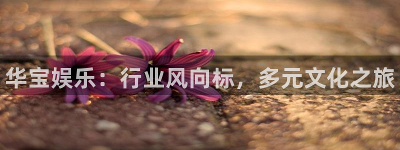 威九国际体育娱乐注册链接：华宝娱乐：行业风向标，多元文化之旅