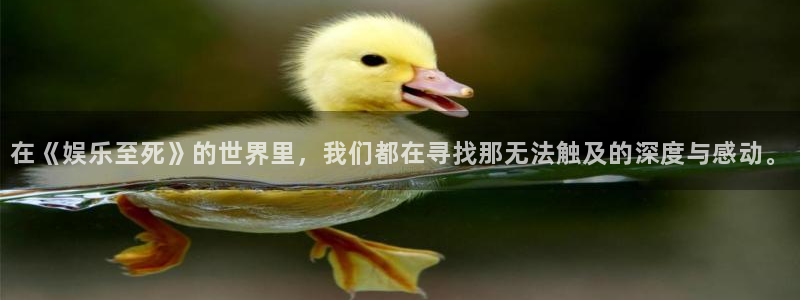 威九国际f凯捷平台在线注册：在《娱乐至死》的世界里，我们都在寻找那无法触及的深度与感动。