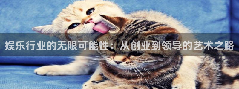 威九国际集团：娱乐行业的无限可能性：从创业到领导的艺术之路