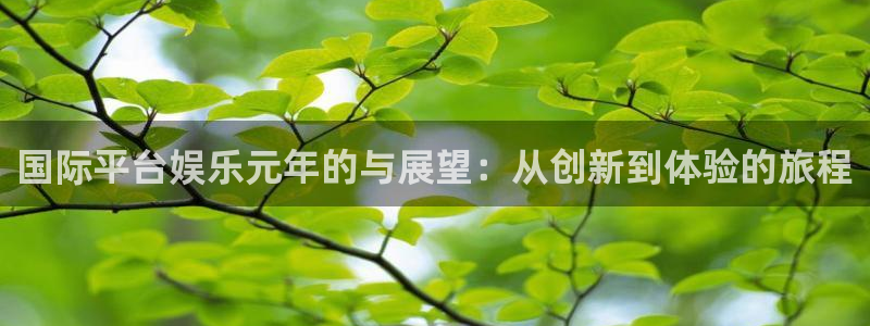 威九国际平台官网：国际平台娱乐元年的与展望：从创新到体验的旅程