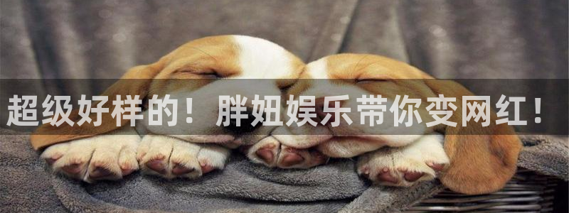 威九国际：超级好样的！胖妞娱乐带你变网红！