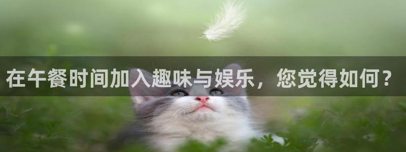 威九国际招商：在午餐时间加入趣味与娱乐，您觉得如何？
