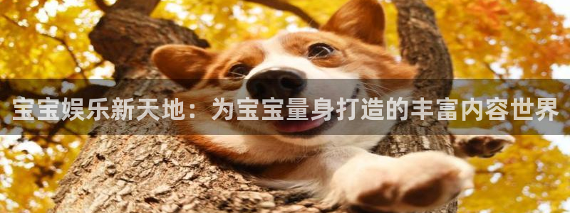 威九国际包怎么样：宝宝娱乐新天地：为宝宝量身打造的丰富内容世界