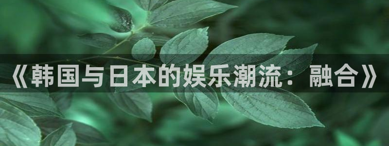 威九国际官网注册：《韩国与日本的娱乐潮流：融合》