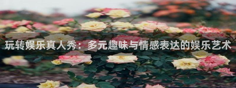 威九国际体育平台开号链接：玩转娱乐真人秀：多元趣味与情感表达的娱乐艺术