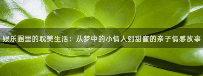 威九国际f平台注册：娱乐圈里的耽美生活：从梦中的小情人到甜蜜的亲子情感故事