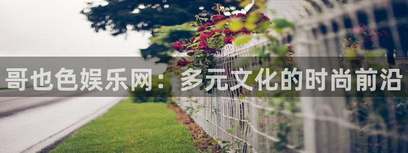 威九国际2注册：哥也色娱乐网：多元文化的时尚前沿