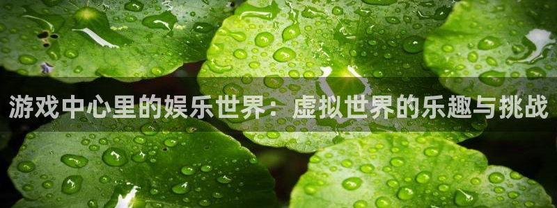 威九国际平台：游戏中心里的娱乐世界：虚拟世界的乐趣与挑战