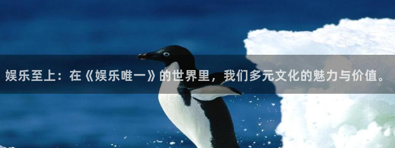 威九国际4开户：娱乐至上：在《娱乐唯一》的世界里，我们多元文化的魅力与价值。