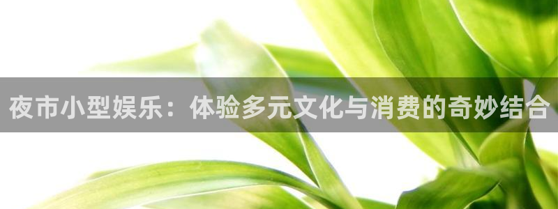 威九国际现在优惠多少：夜市小型娱乐：体验多元文化与消费的奇妙结合