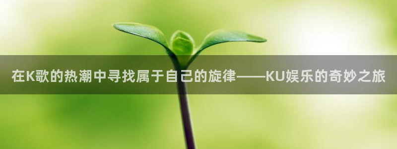 威九国际代理：在K歌的热潮中寻找属于自己的旋律——KU娱乐的奇妙之旅