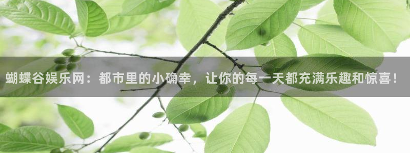 威九国际招商：蝴蝶谷娱乐网：都市里的小确幸，让你的每一天都充满乐趣和惊喜！