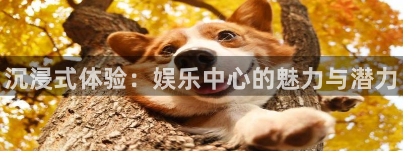 威九国际登录注册：沉浸式体验：娱乐中心的魅力与潜力