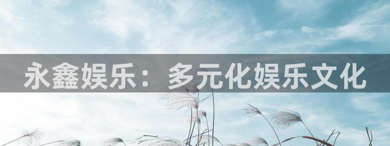 威九国际体育在线注册：永鑫娱乐：多元化娱乐文化
