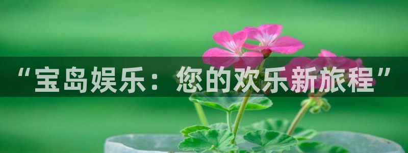 威九国际5注册：“宝岛娱乐：您的欢乐新旅程”