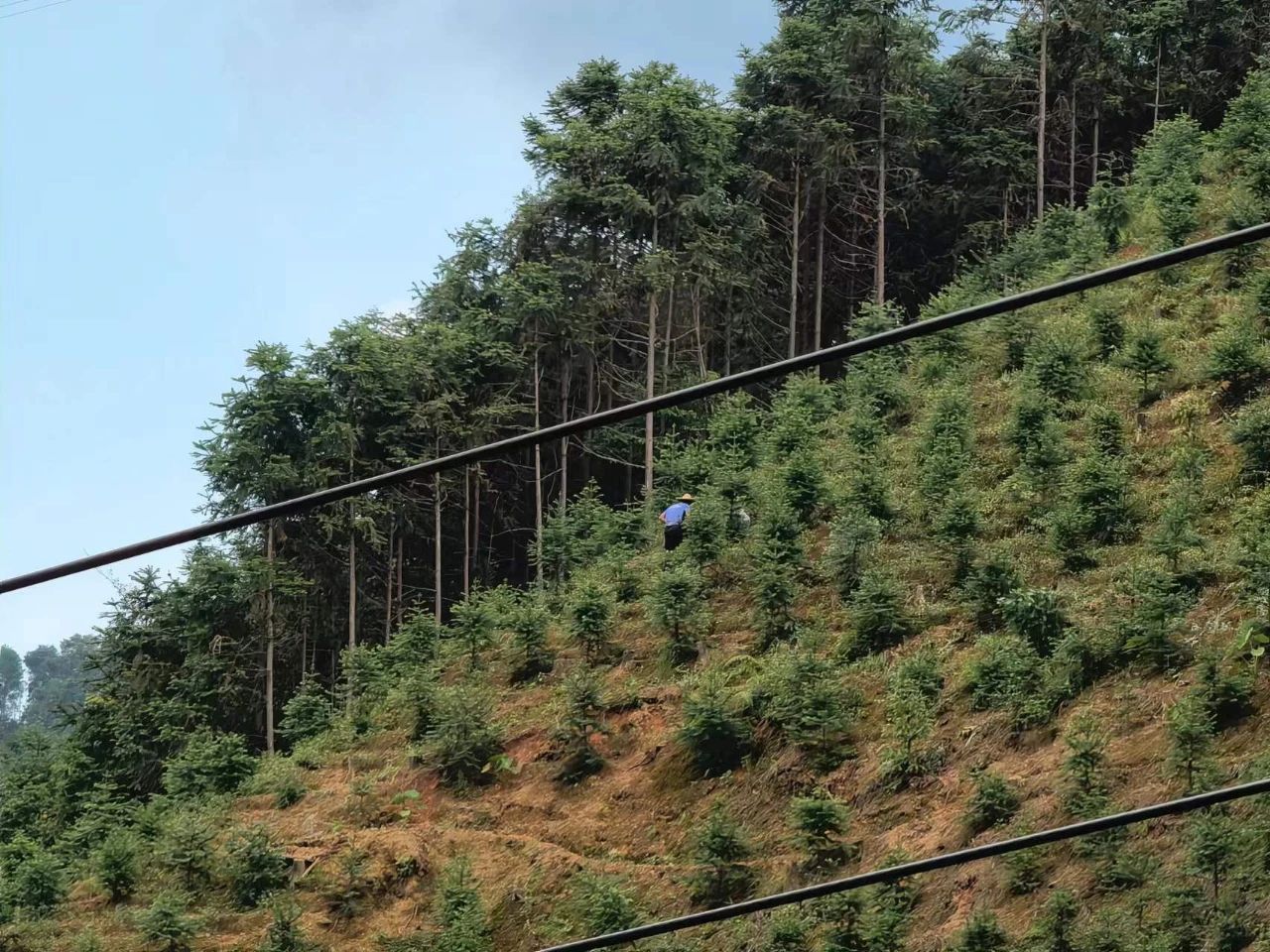 微信圖片_20230607152540.jpg 微信圖片_20230607152540.jpg