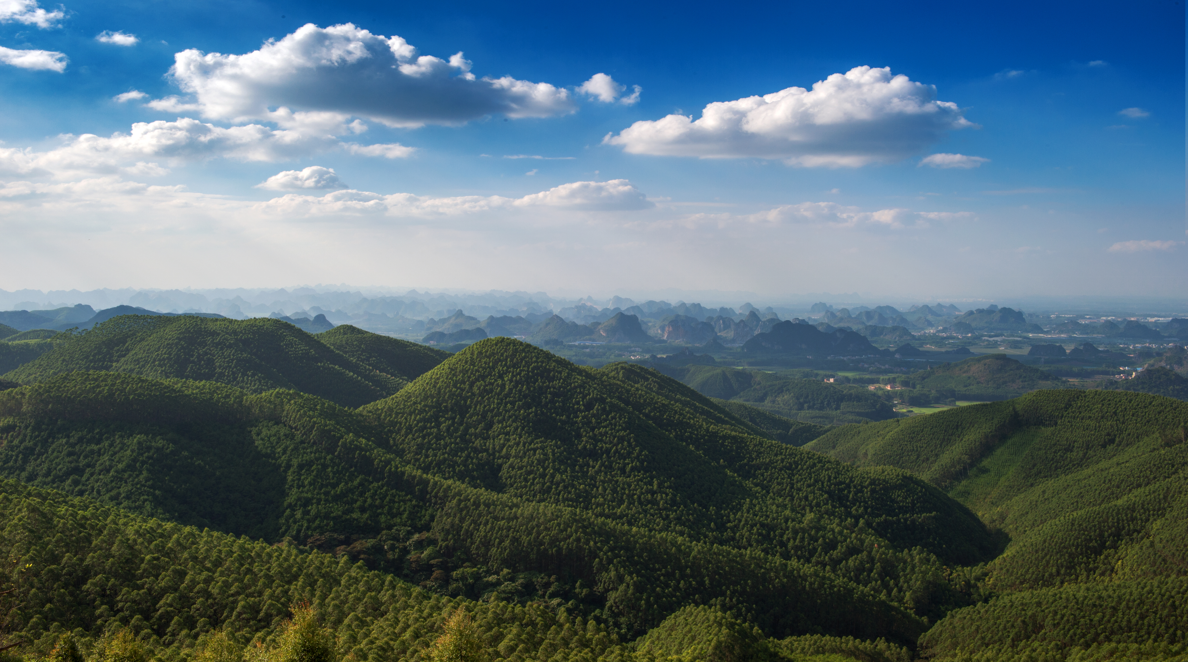 主營(yíng)業(yè)務(wù)